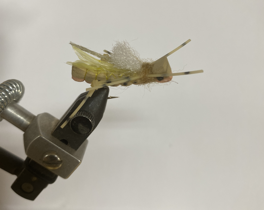 fly fishing with a dry fly