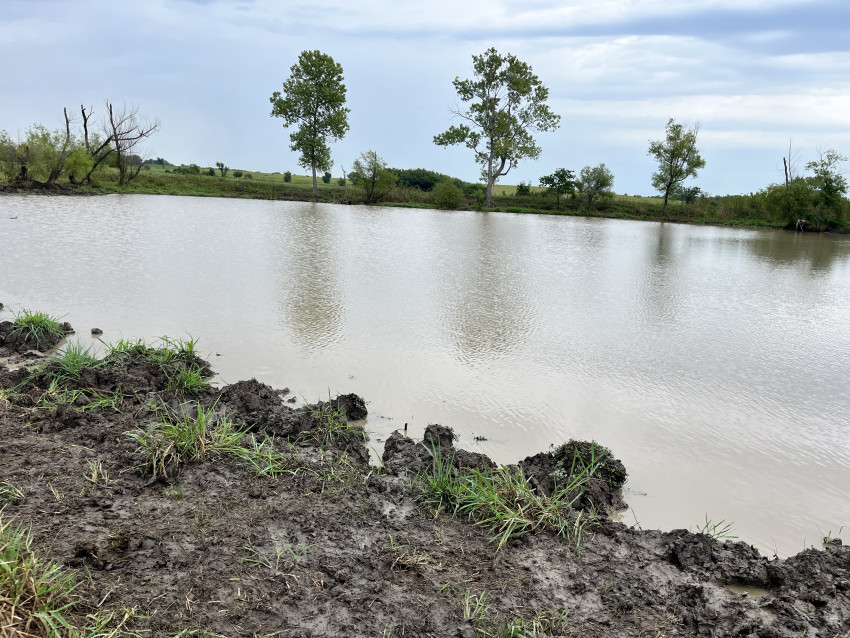 Ranchers anxiously watch their pond levels recede during a drought and hope that the ponds are replenished before harmful algae blooms develop.