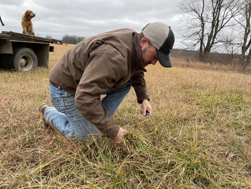 Grass ranching 