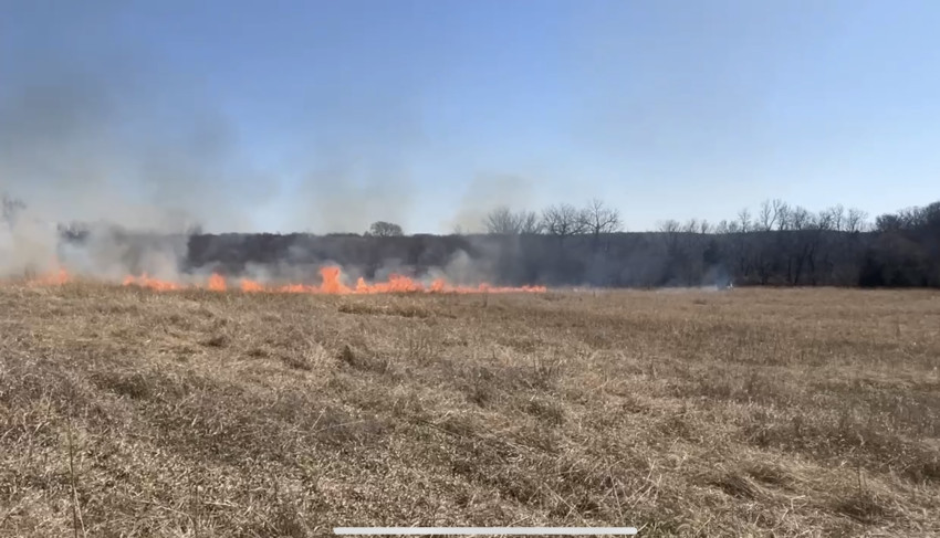 brandi buzzard_2025 burning