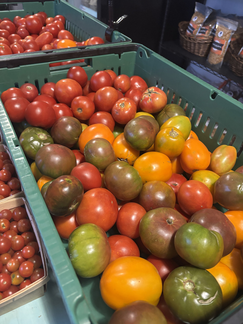 werner creek farm_tomatoes