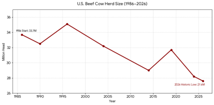 US beef cow herd size