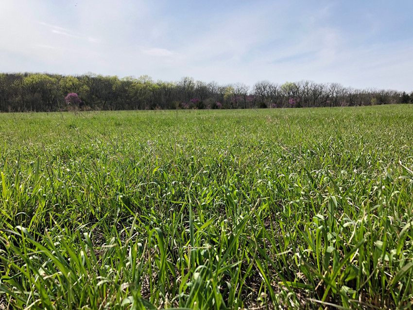 Prescribed burning in Kansas