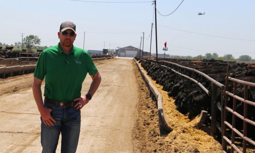 shawn of tiffany cattle company