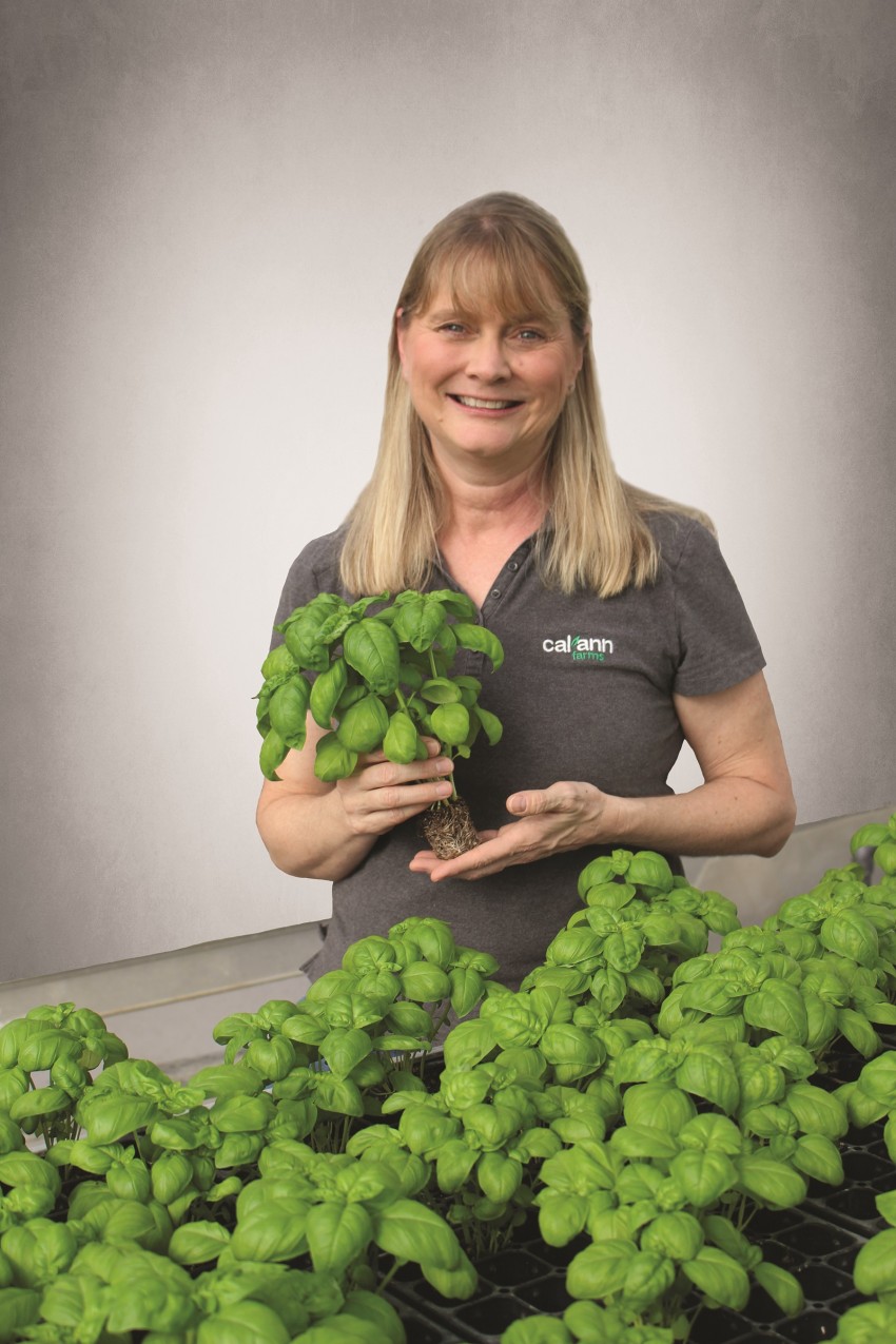 Pam Meyer displays basil grown at Cal-Ann Farms.