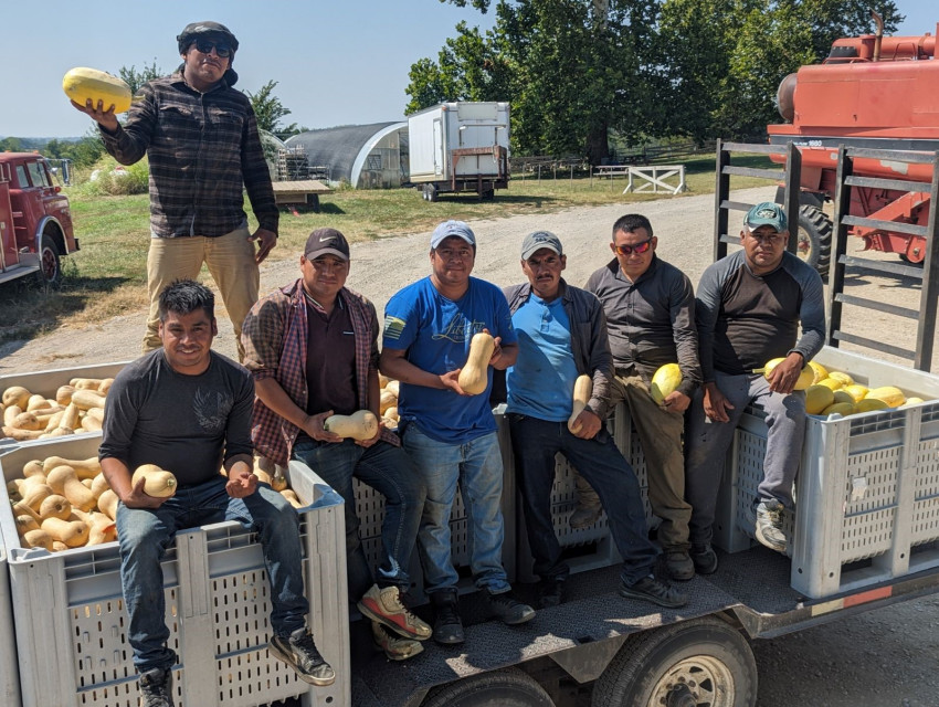 thellman employees after winter squash harvest