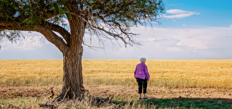 Ruby Lohman_Century Farm header