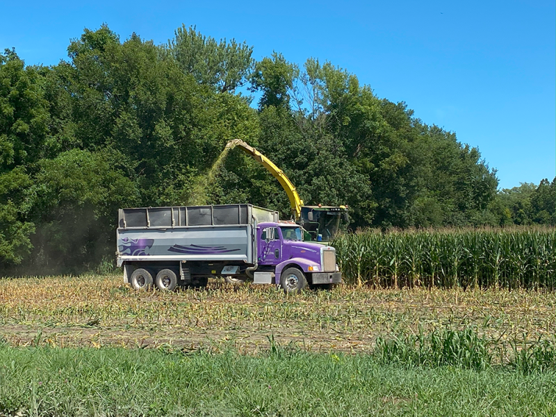 chopping_corn_silage_2020_web.png