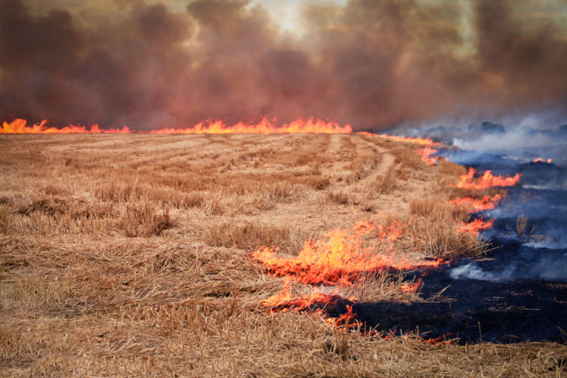 Prescribed fire in Kansas