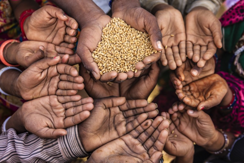 World Hunger Facts Kansas Living Magazine World Hunger Facts Kansas Living Magazine