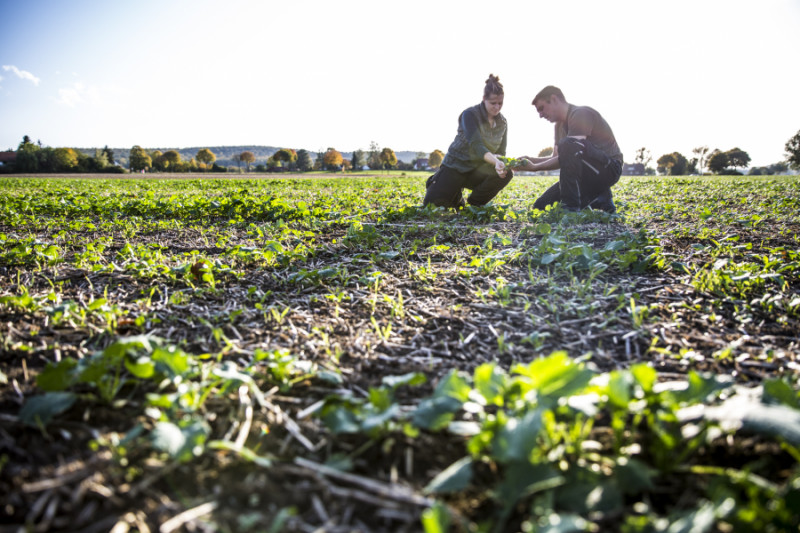 Sustainable Agriculture With No Till Farming | Kansas Living Magazine