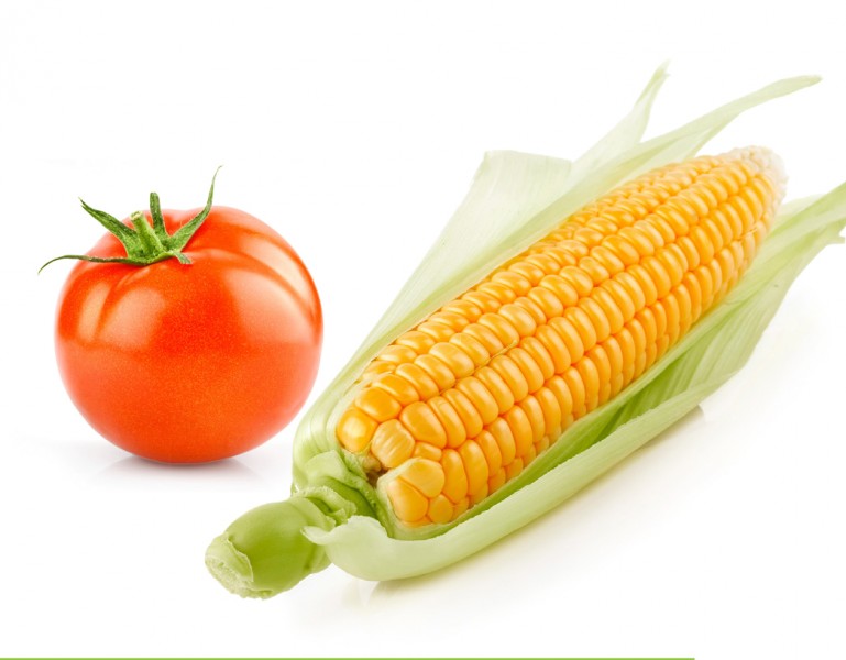 Corn and Tomatoes Kansas Living Magazine