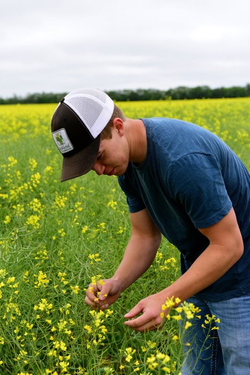 Connor Peirce in canola field