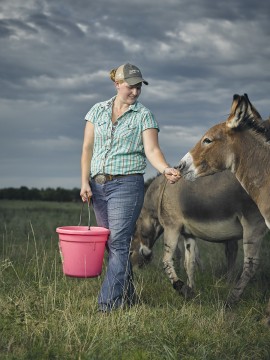 Farmer with donkeys