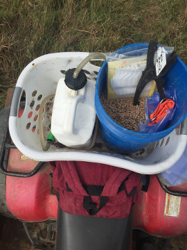 calving tools for the farm