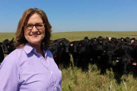 Debbie Lyons-Blythe and cattle