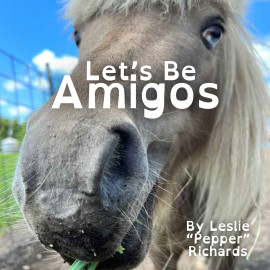 lets_be_amigos_cover.jpg