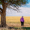 Ruby Lohman_Century Farm header