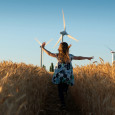 wind turbine in wheat field