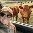 Beef cattle, cattle ranching, farming and ranching