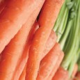 Carrots Salad Recipe