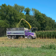 chopping_corn_silage_2020_web.png
