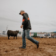 Beef Empire Days_header
