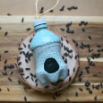 kids_craft_bird_feed_from_plastic_bottle-21.jpg