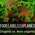 organic food and non-organic food