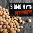 GMO myths debunked 