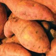 Chipotle Sweet Potato