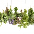 string of fresh herbs