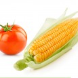 Corn & 'Maters | Chef Alli | Kansas Living